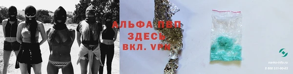 твердый Сосновый Бор