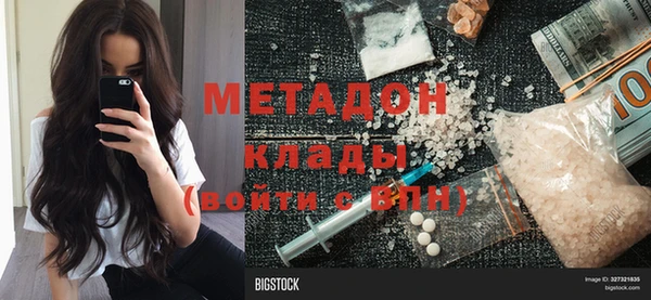 прущие грибы Белокуриха
