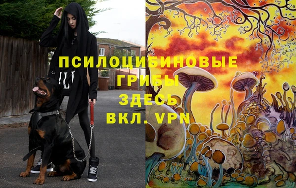 меф VHQ Белоозёрский
