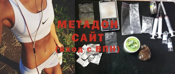 прущие грибы Белокуриха