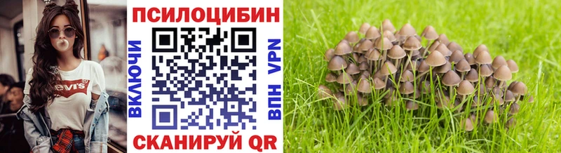 кракен как зайти  закладка  Буинск  Галлюциногенные грибы Cubensis 